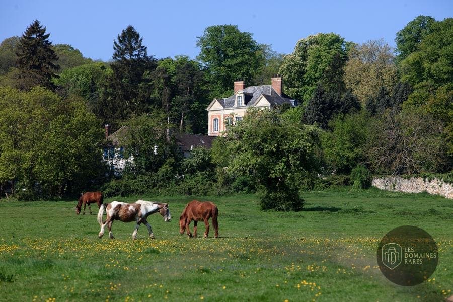 Domaine avec chevaux dans un pré