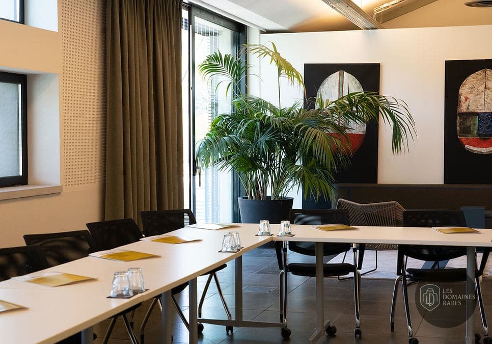 Salle de réunion 4 du lieu Kolaab à Lyon en Auvergne-Rhône-Alpes