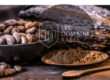Gros plan sur des fèves de cacao