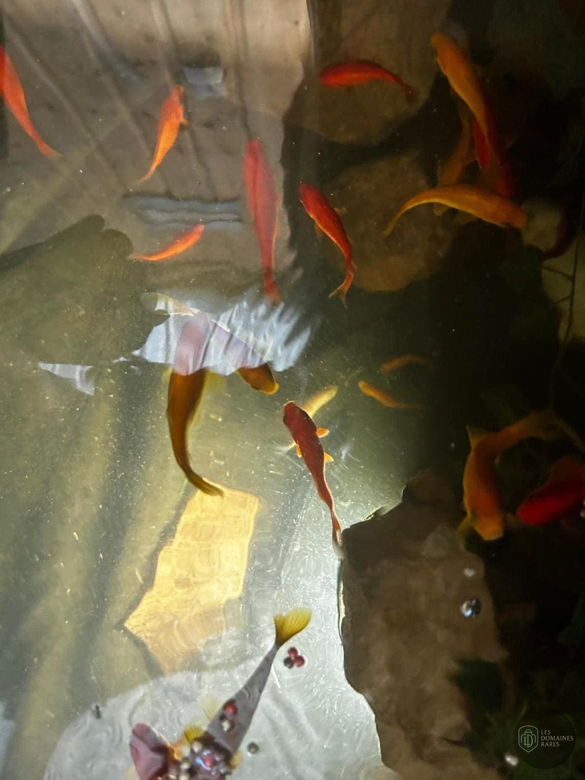Vue extérieure de l'hôtel L'Aquarium à Vonnas en Auvergne-Rhône-Alpes