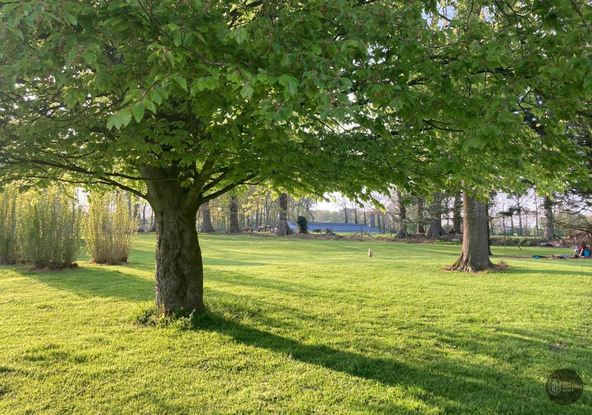 Vue extérieure du lieu L'Armandière à Bossée en Centre-Val de Loire