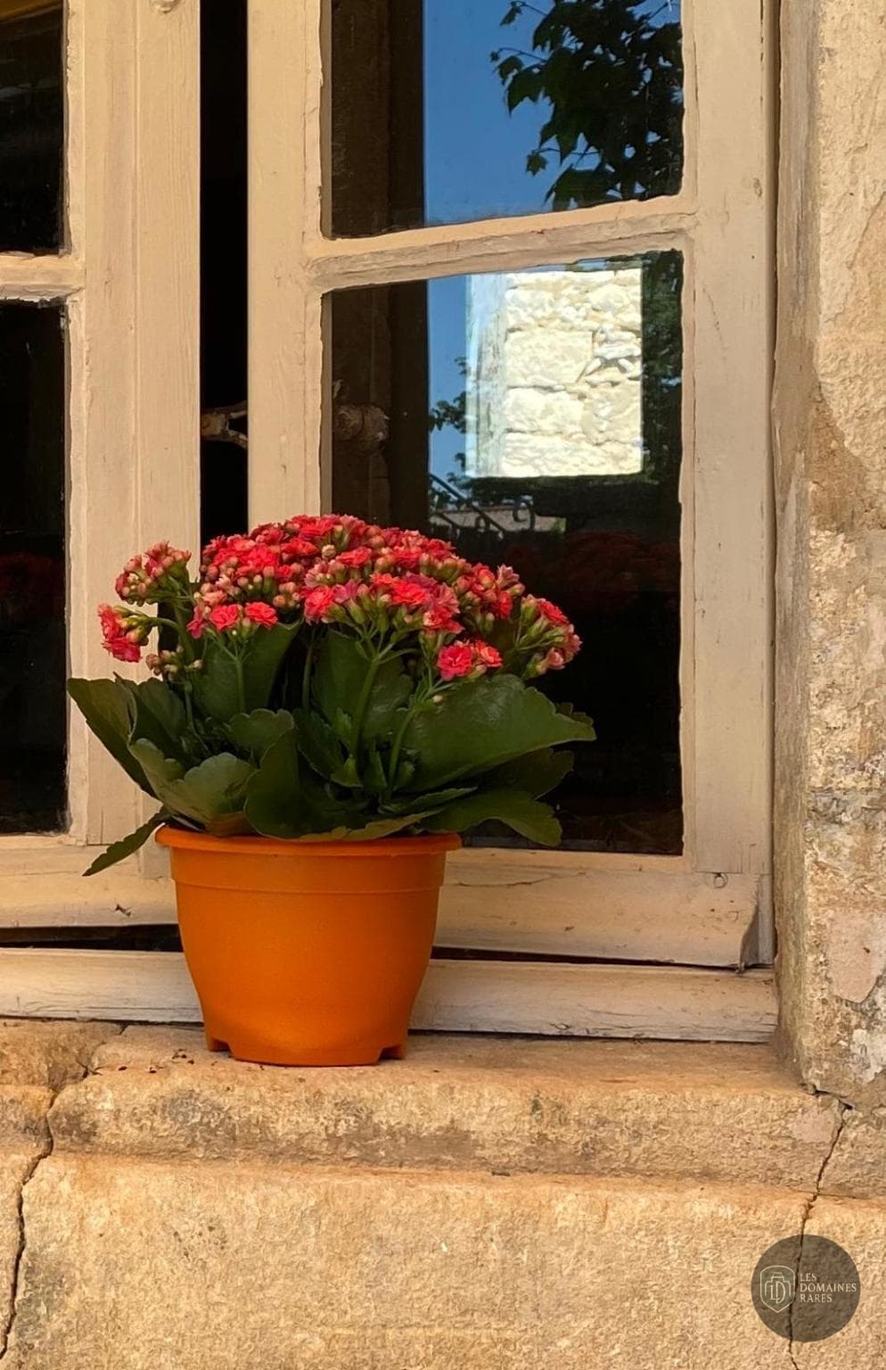 Vue extérieure du lieu L'Escarpolette en Hauts-de-France