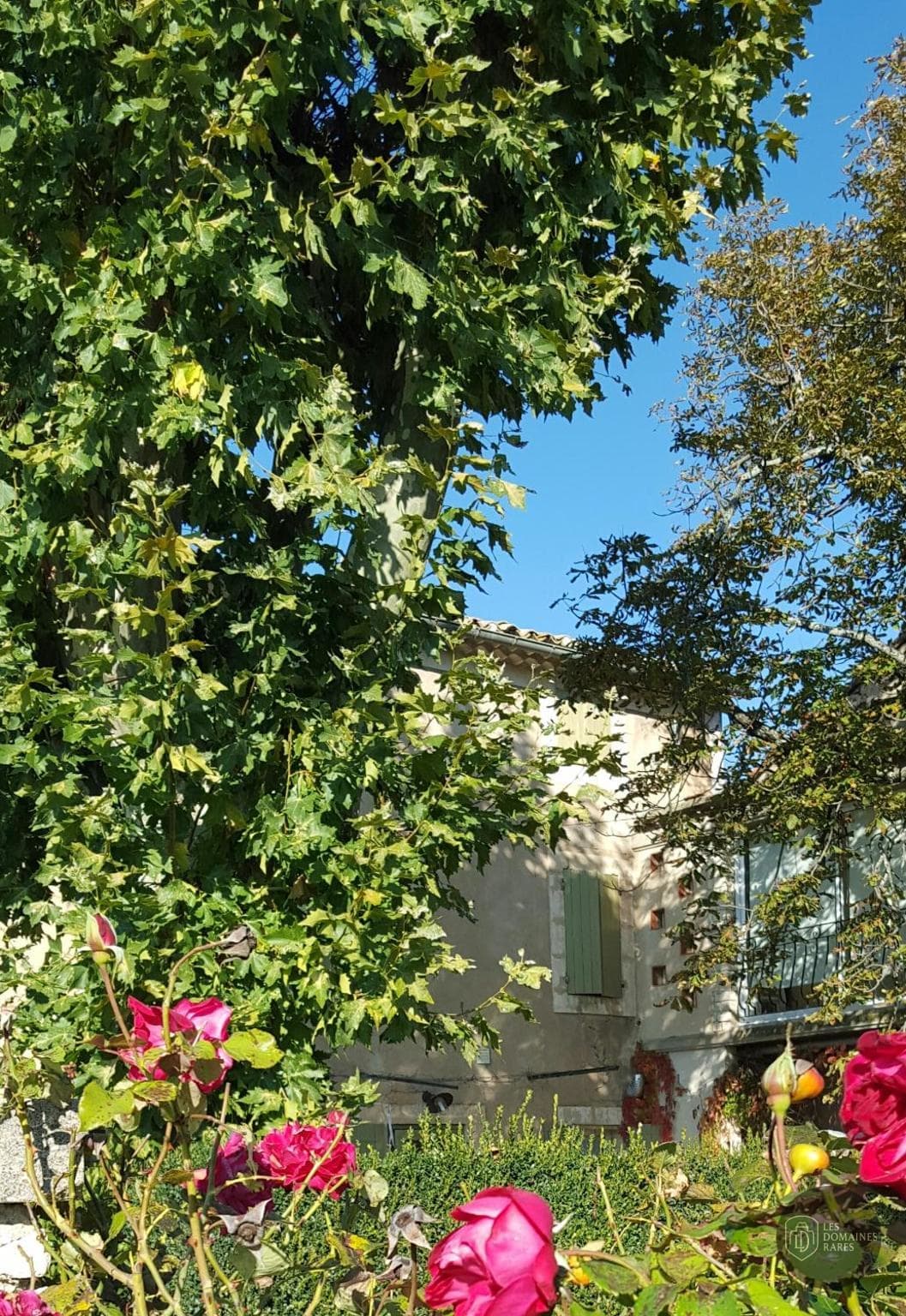 Vue extérieure du lieu L'Escarpolette en Hauts-de-France