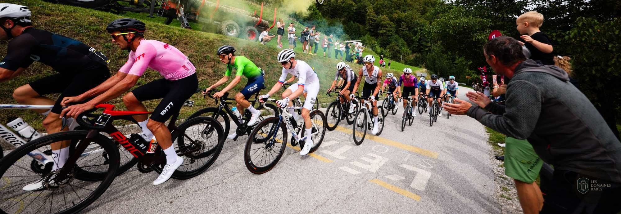 Cyclistes lors d'une course