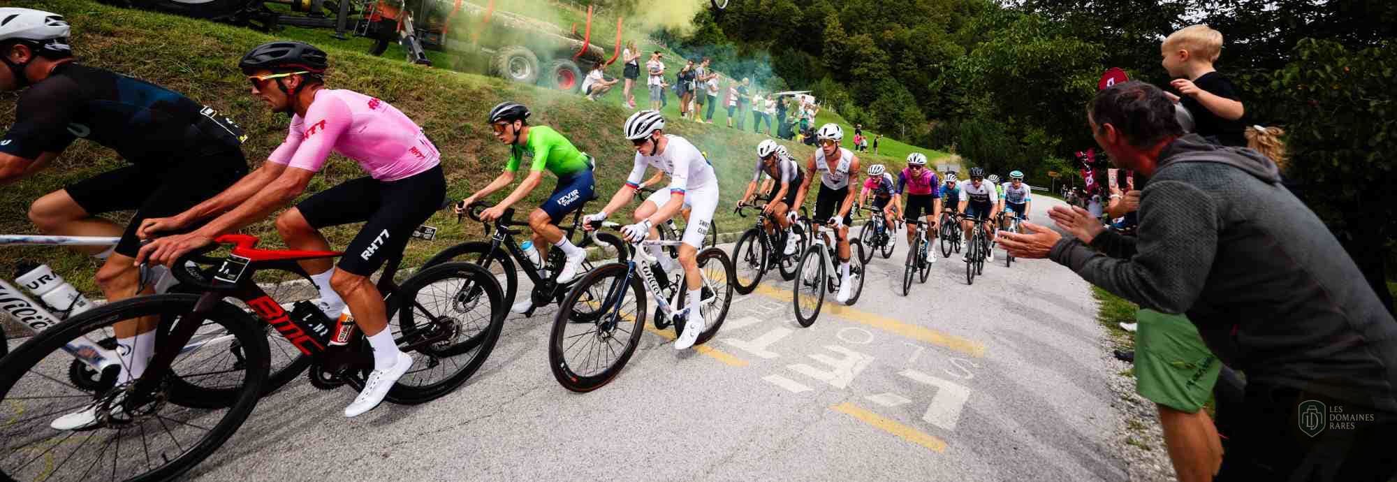 Cyclistes lors d'une course