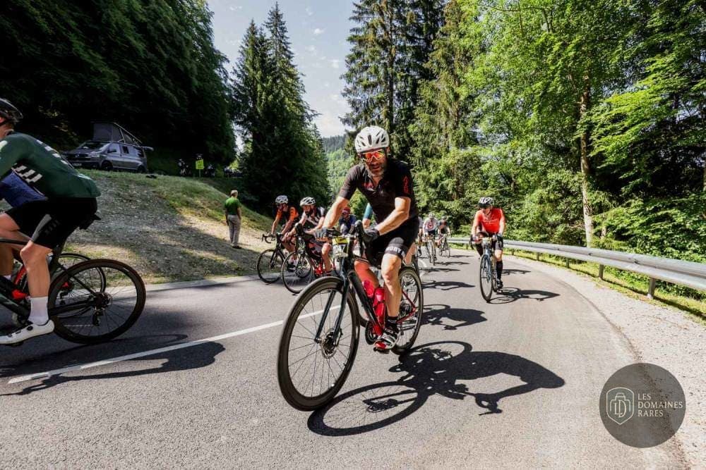 Cyclistes sur une route ombragée