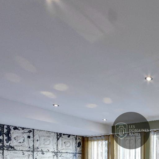 Plafond et décorations murales