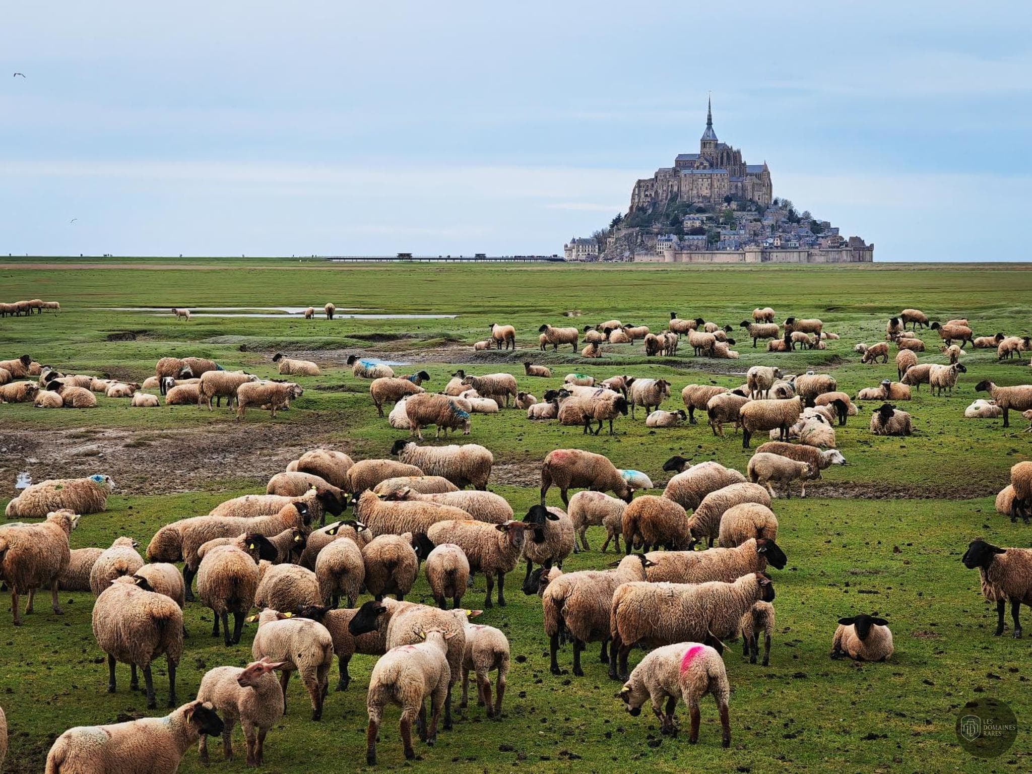 L'Isle Saint-Michel — Extérieur