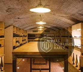 Cave à vin avec tables de dégustation