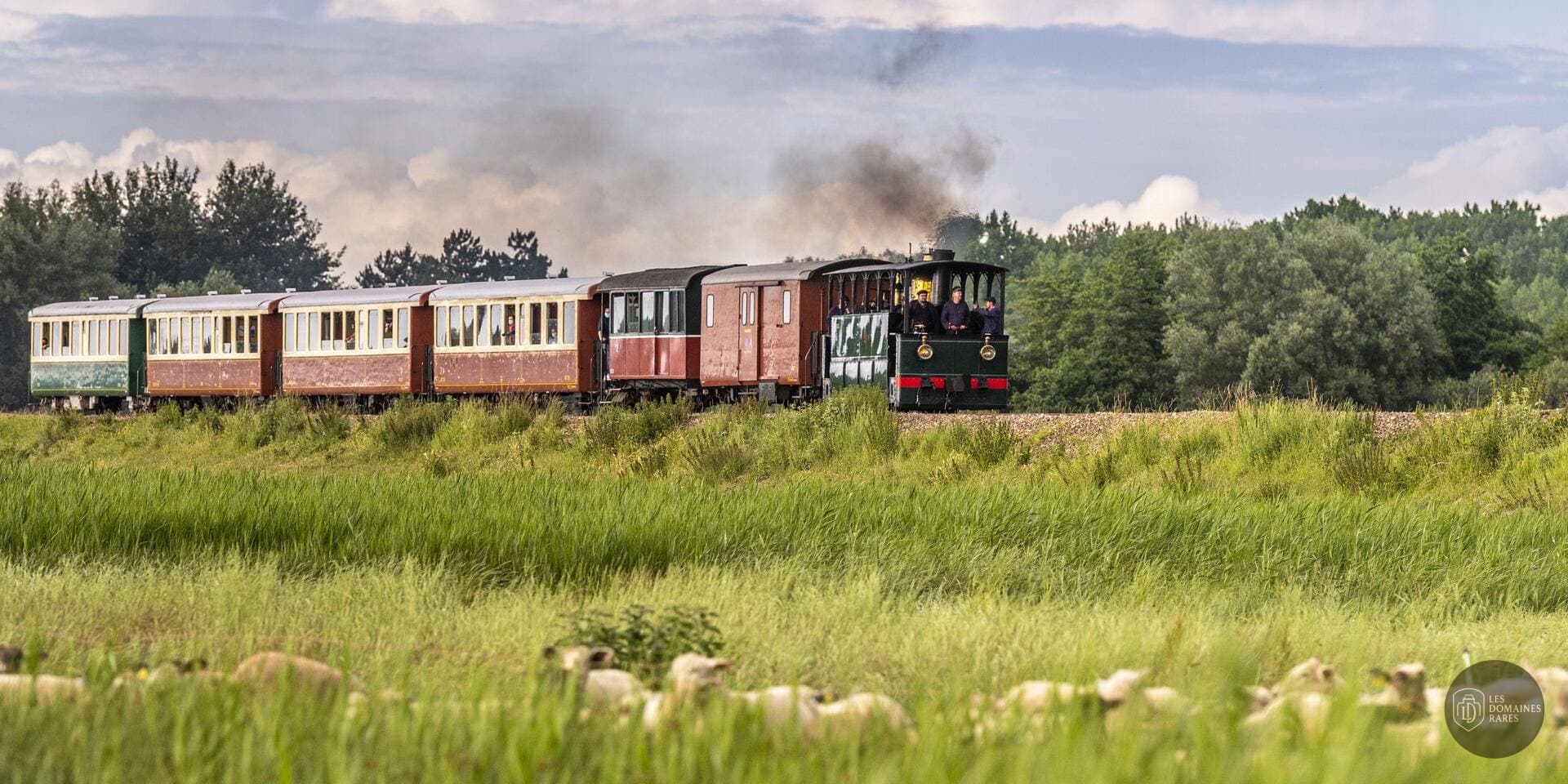 Train touristique dans la Baie de Somme