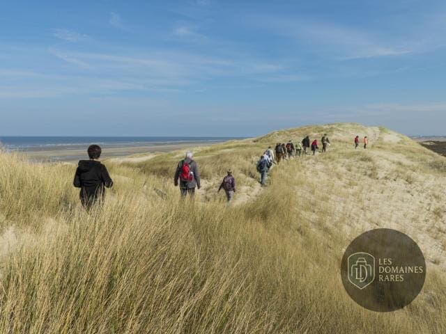 Promeneurs dans les dunes près de la Baie