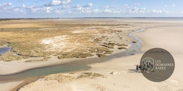 Sortie nature en Baie de Somme