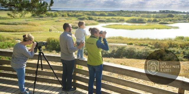 Parc ornithologique du Marquenterre