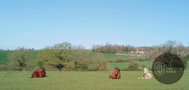 Vue extérieure du domaine La Baronnerie à Chemere en Pays de la Loire