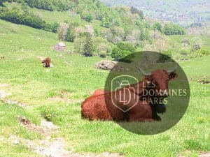 Vue extérieure du lieu La Boudio à Lavigerie en Auvergne-Rhône-Alpes