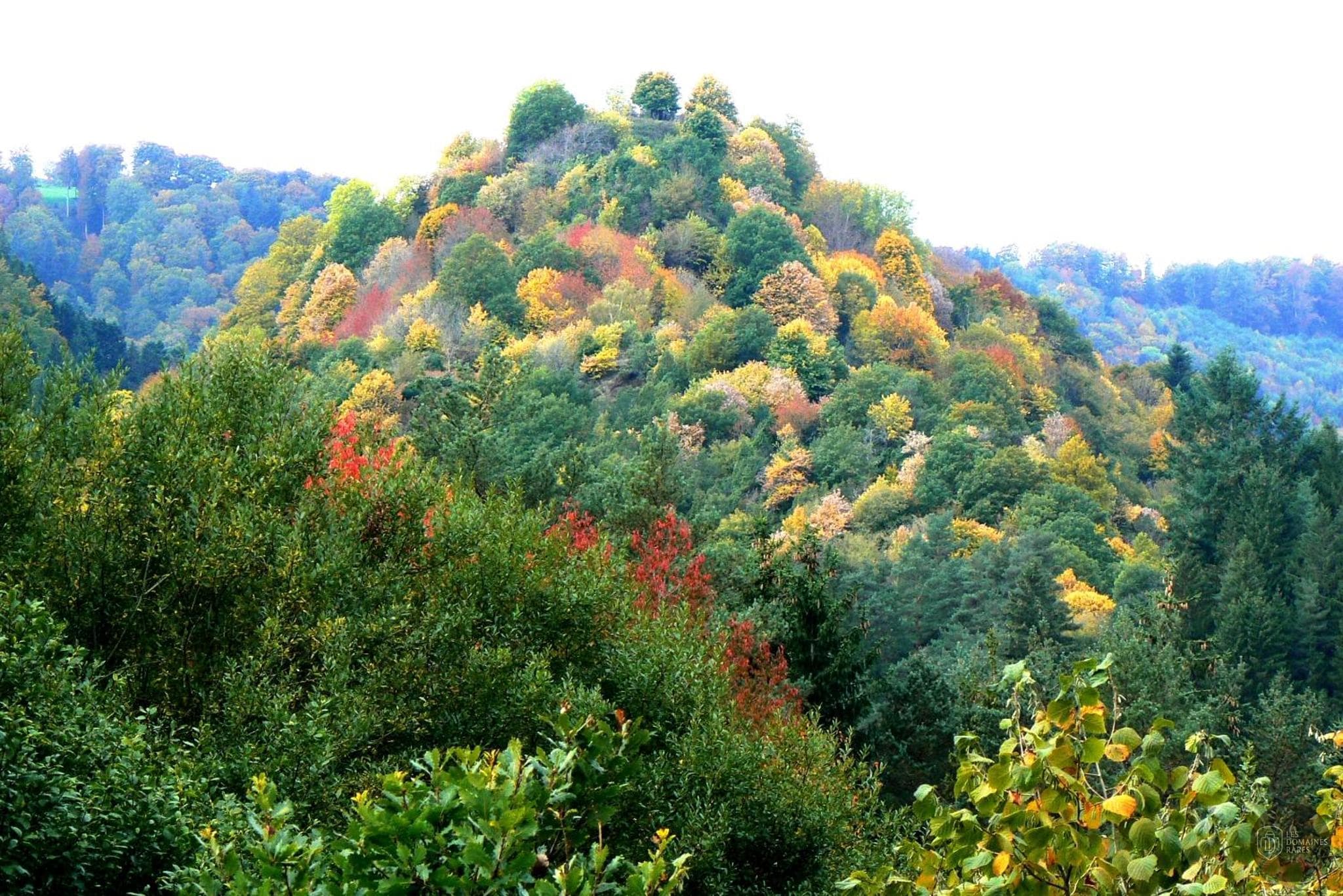 Vue extérieure du lieu La Coudraie à Montévrain en Île-de-France