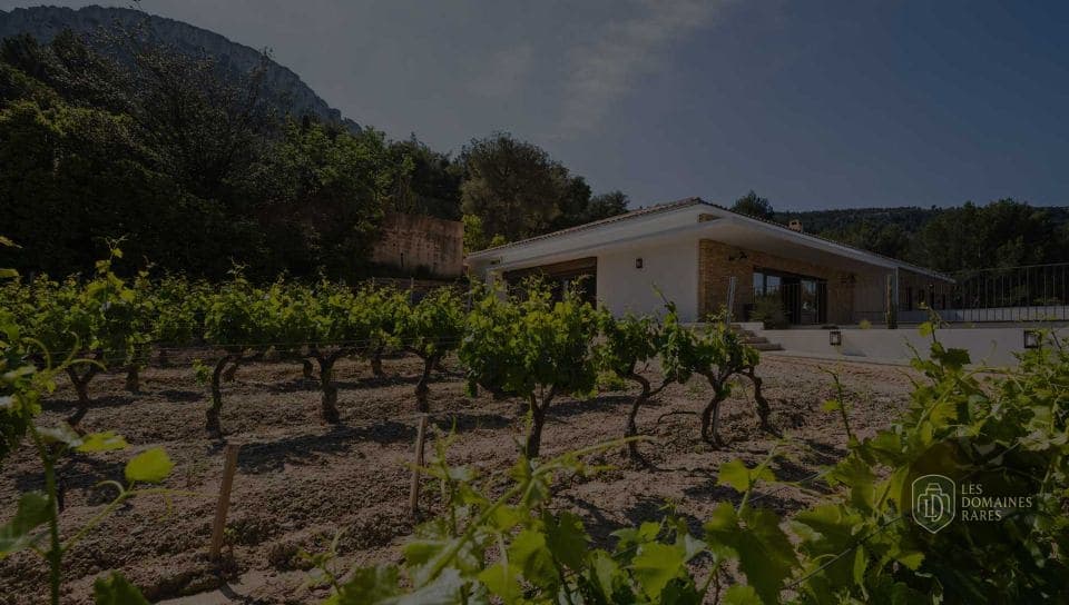 Vue extérieure du château La Dona Tigana en Provence-Alpes-Côte d'Azur
