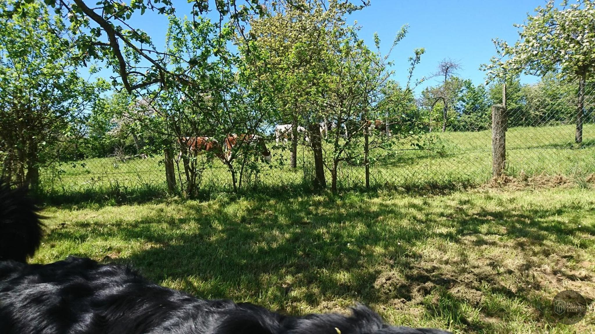 Vue extérieure de la ferme La Ferme Blanche en Hauts-de-France