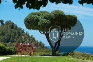 Jardin soigné avec vue sur la mer