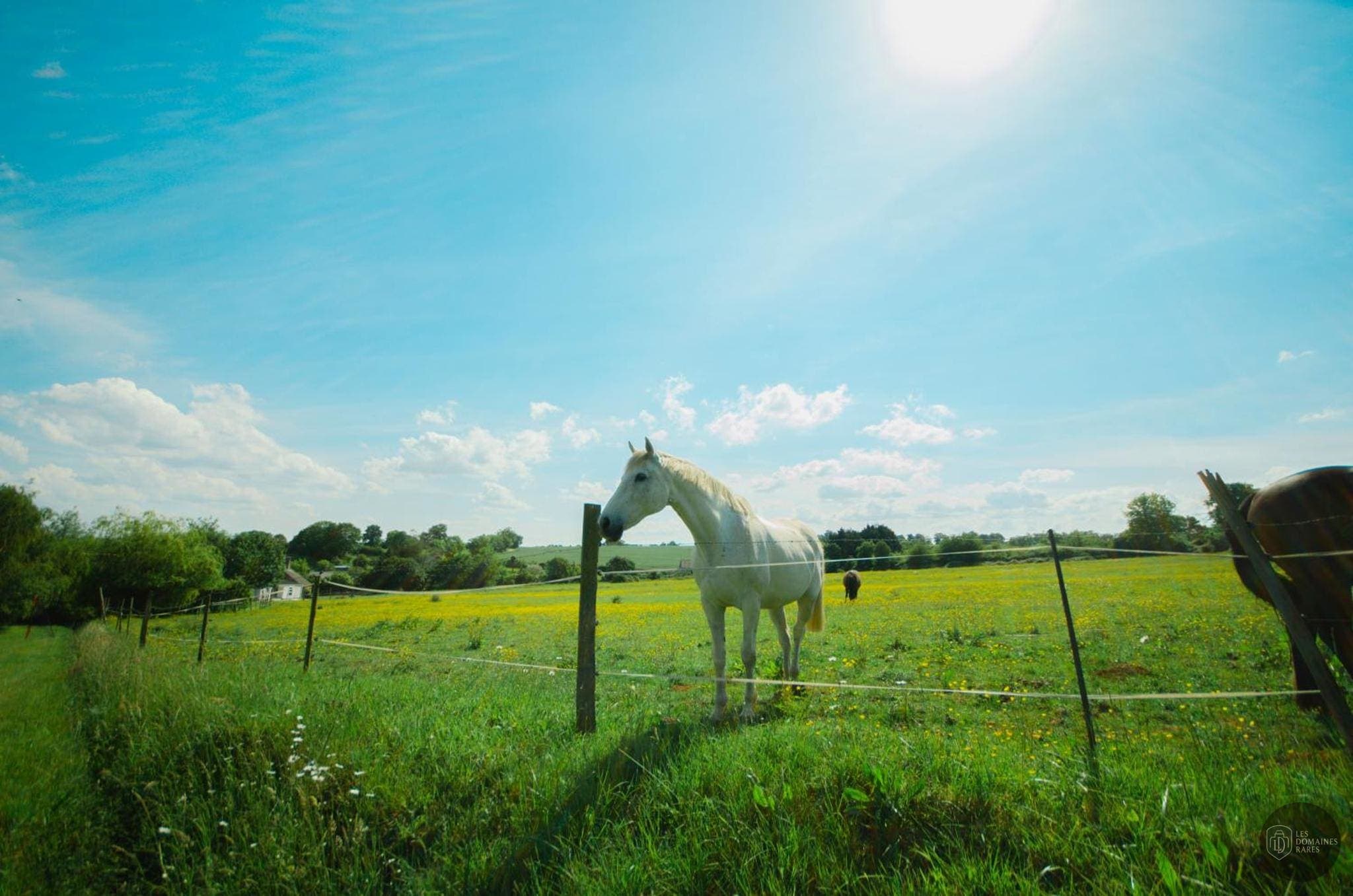 Vue extérieure de l'hôtel La Ferme des Epis à Ouffières en Normandie
