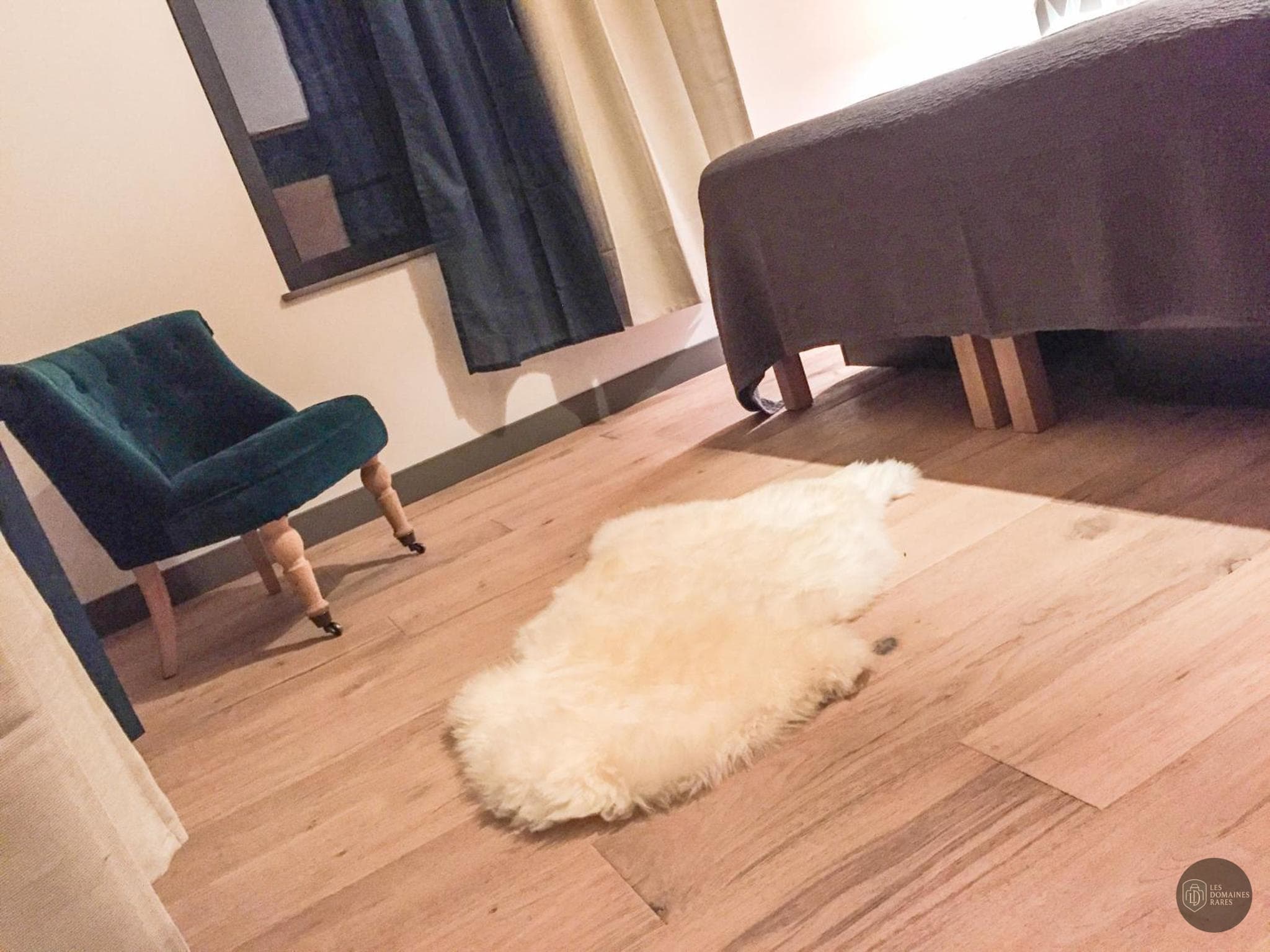 Espace intérieur du lieu La Forge Konoba en Hauts-de-France