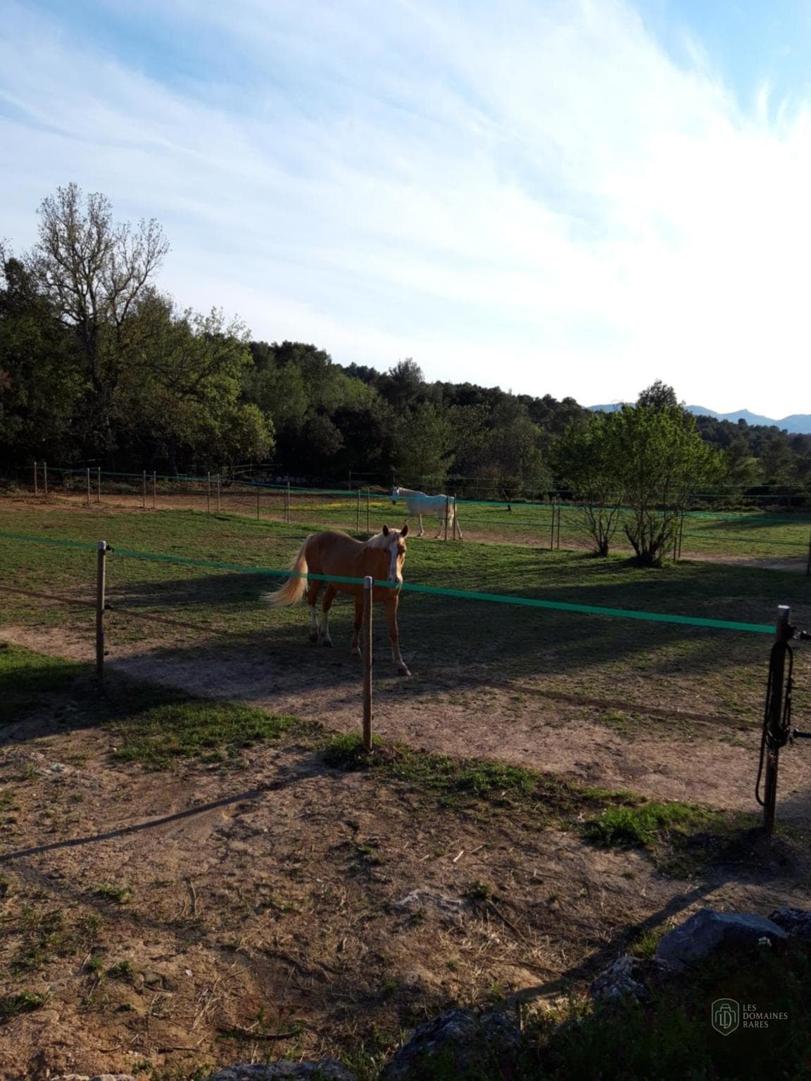 Vue extérieure du lieu La Margottière à Vallery en Bourgogne-Franche-Comté