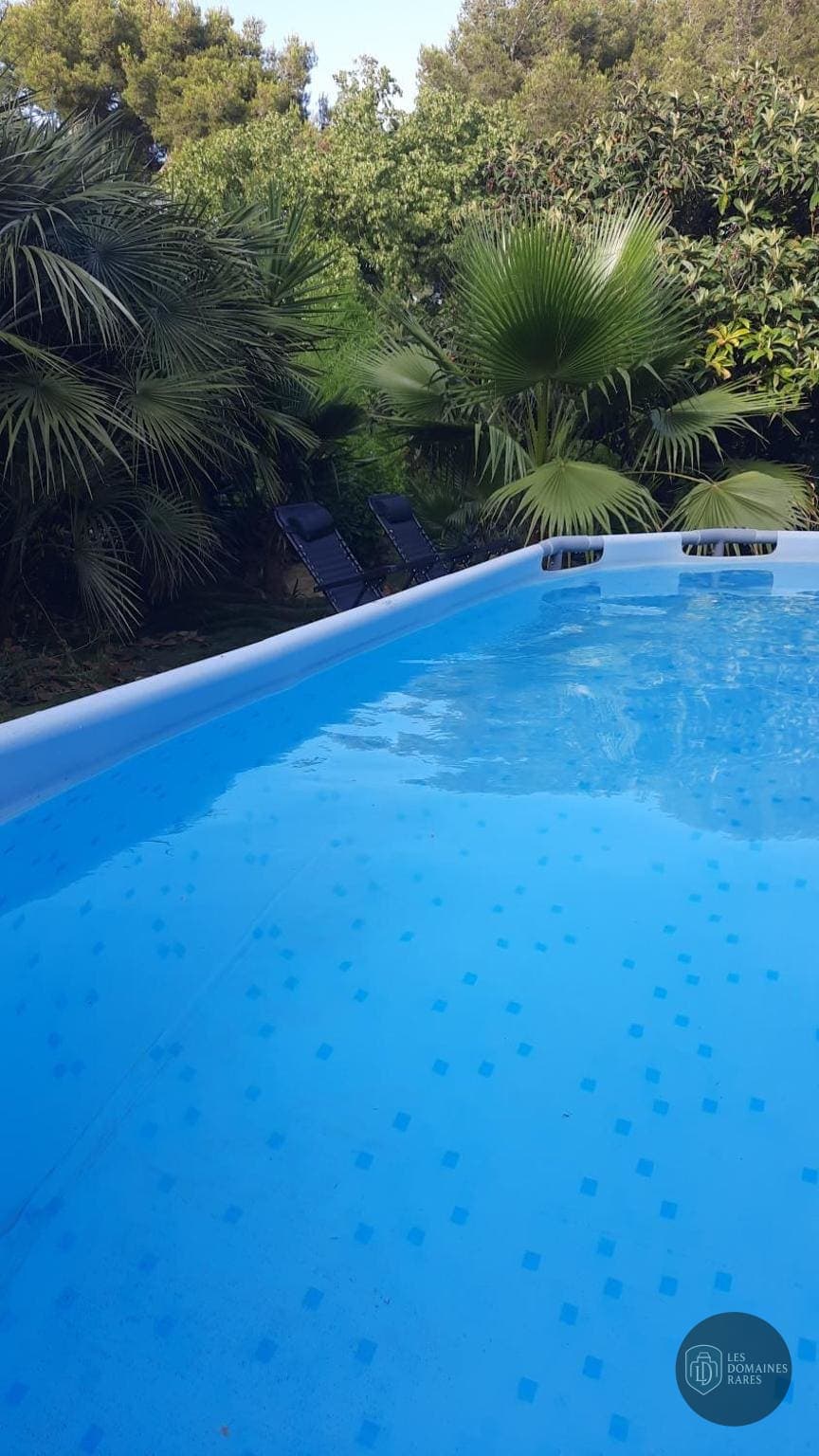 Piscine et activités du salle de réception La Palmeraie à Paris en Île-de-France