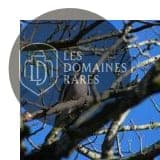 Vue extérieure de l'hôtel La Palombe à Octon en Occitanie