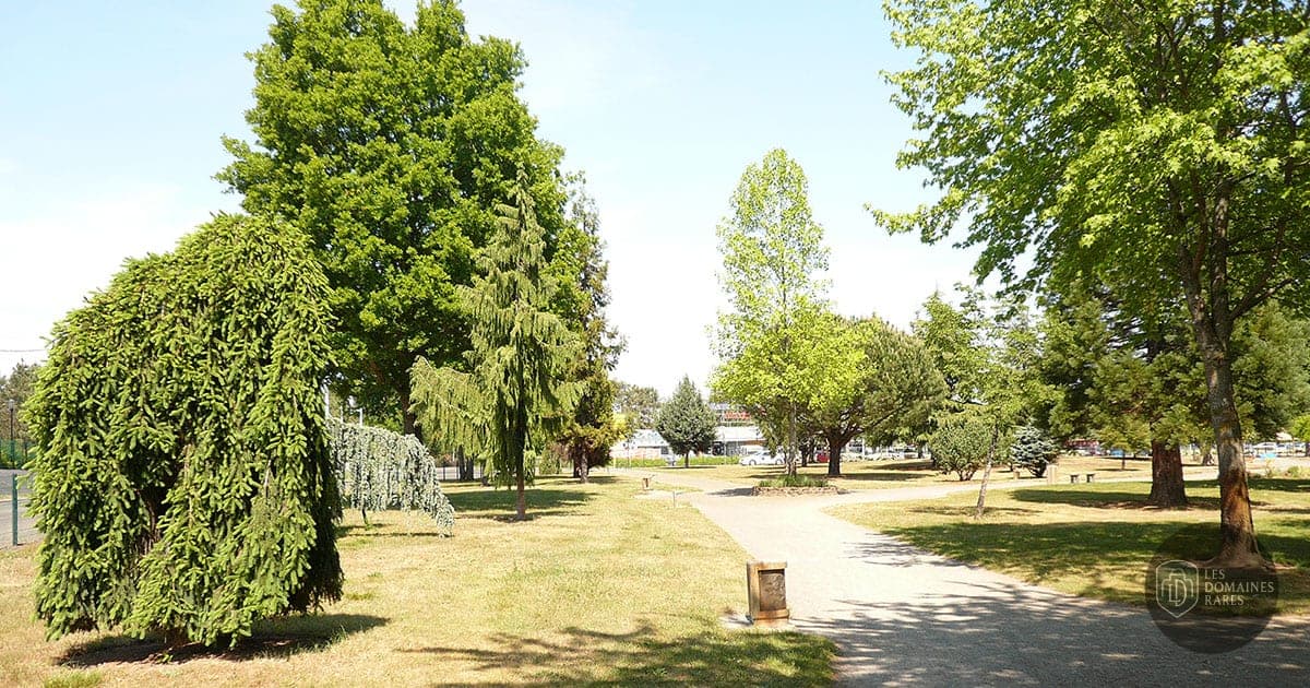 La Pincenardière