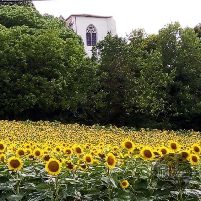 Vue extérieure du lieu La Sans Souci à Paris en Île-de-France