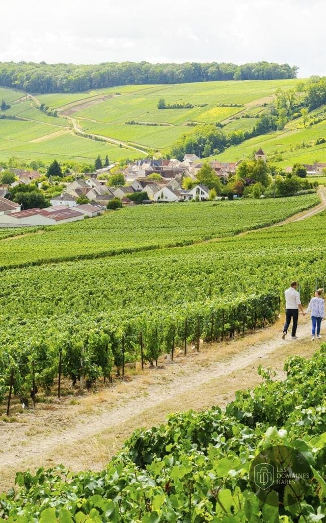 Vue extérieure du lieu La Tente Verte en Hauts-de-France