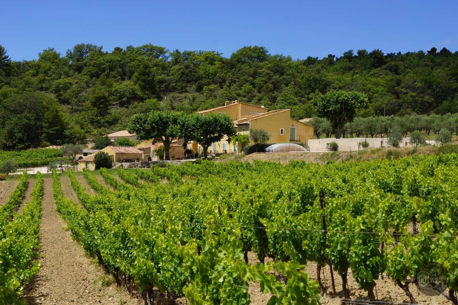 Vue extérieure du lieu La Vaupeline en Nouvelle-Aquitaine