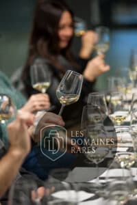 Vue du château La Winery en Nouvelle-Aquitaine