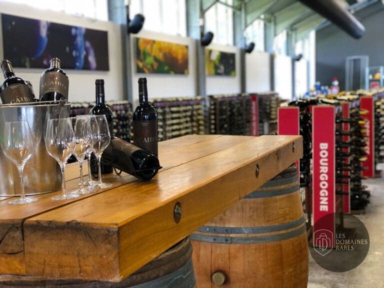 Espace intérieur du château La Winery en Nouvelle-Aquitaine