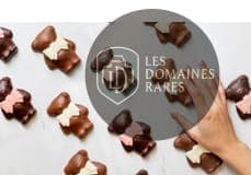 Vue de l'auberge Ladurée à Paris en Île-de-France