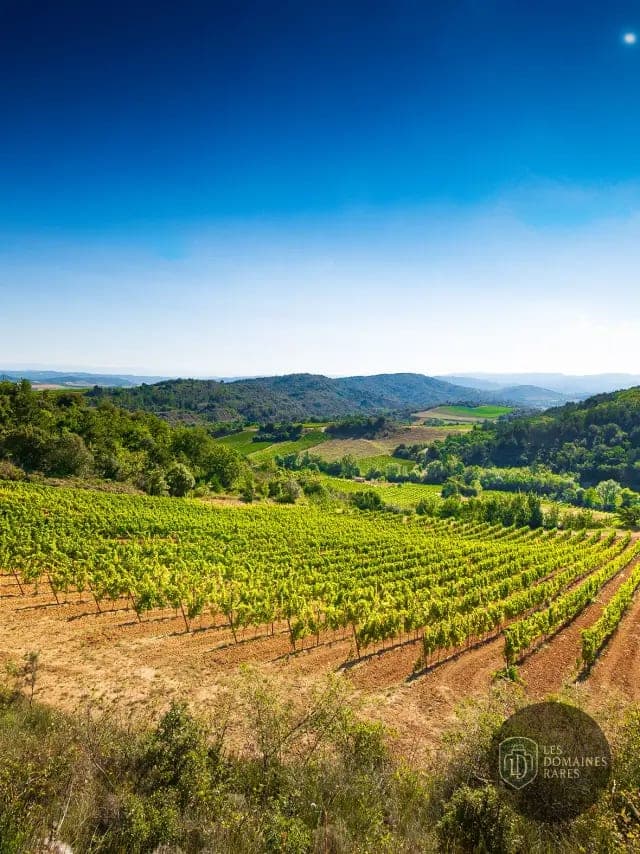 Vue extérieure du lieu Le Belvedère à Lyon en Auvergne-Rhône-Alpes