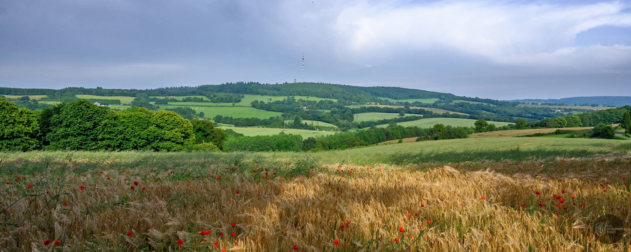Vue extérieure du lieu Le Bois du Tay à Hambers en Pays de la Loire