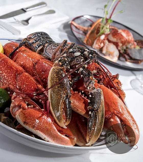 Restaurant du lieu Le Côte d'Argent en Nouvelle-Aquitaine