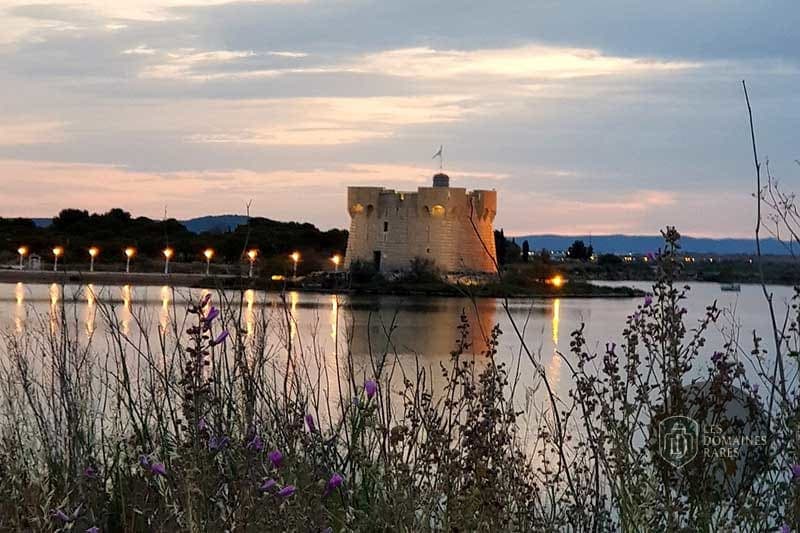 Vue extérieure du camping Le Camarguais à Lattes en Occitanie