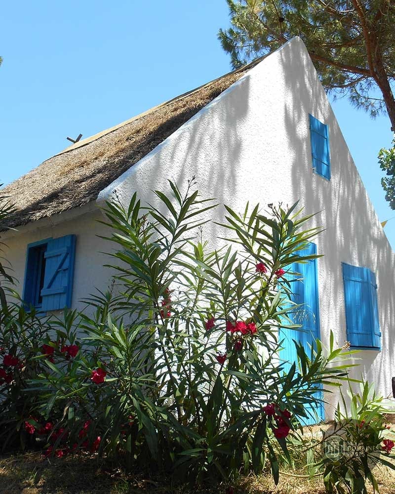 Vue extérieure du camping Le Camarguais à Lattes en Occitanie