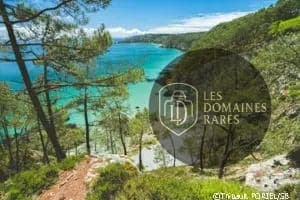 Le Camp Vert