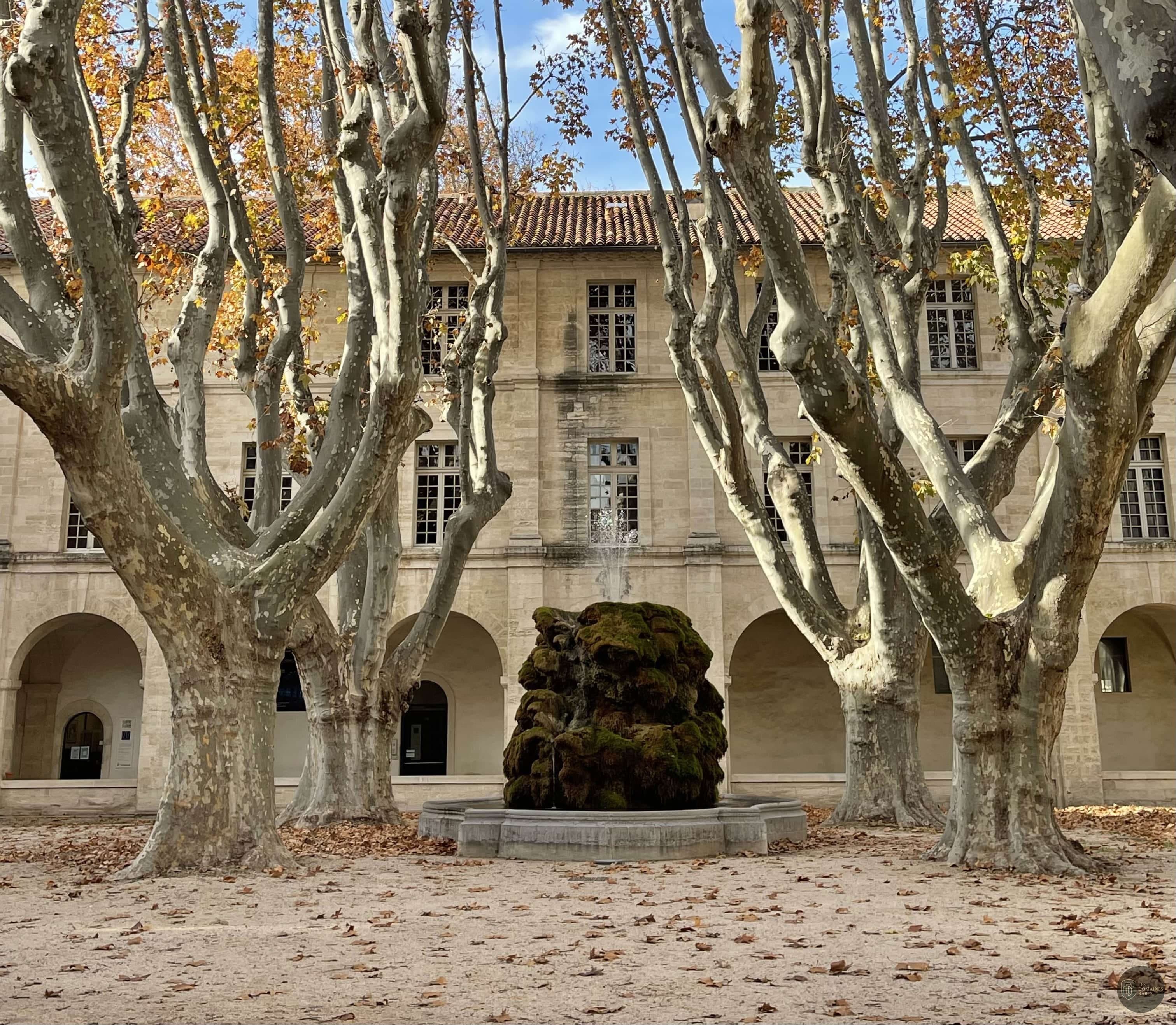 Vue extérieure de l'hôtel Le Cloître à Marseille en Provence-Alpes-Côte d'Azur