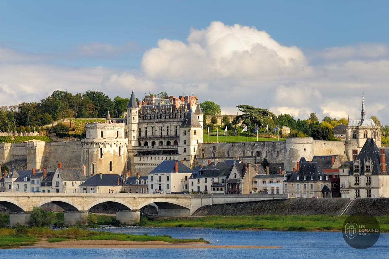 Vue extérieure du lieu Le Clos d'Amboise à Amboise en Centre-Val de Loire