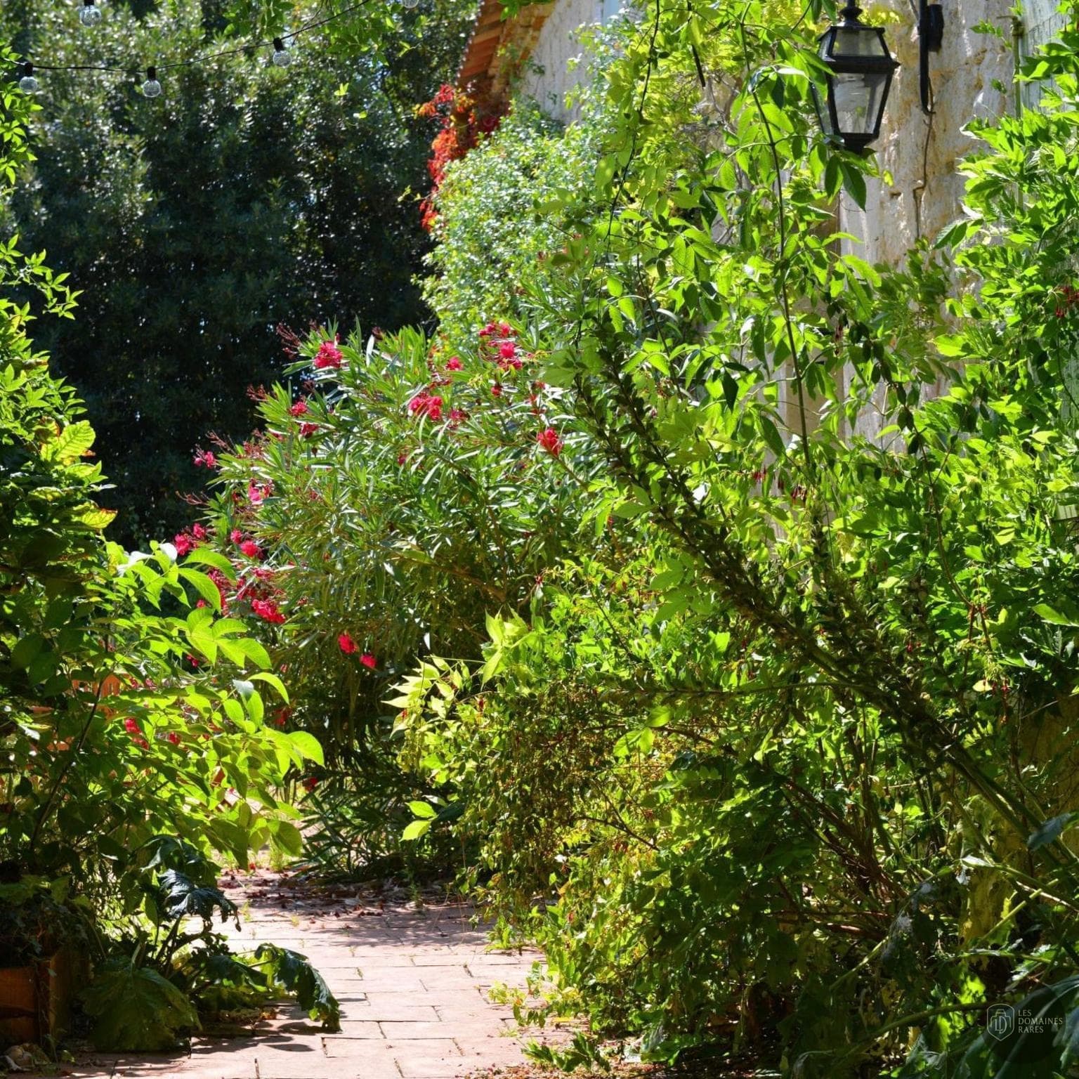 Vue extérieure du lieu Le Clos de Lusignan en Nouvelle-Aquitaine