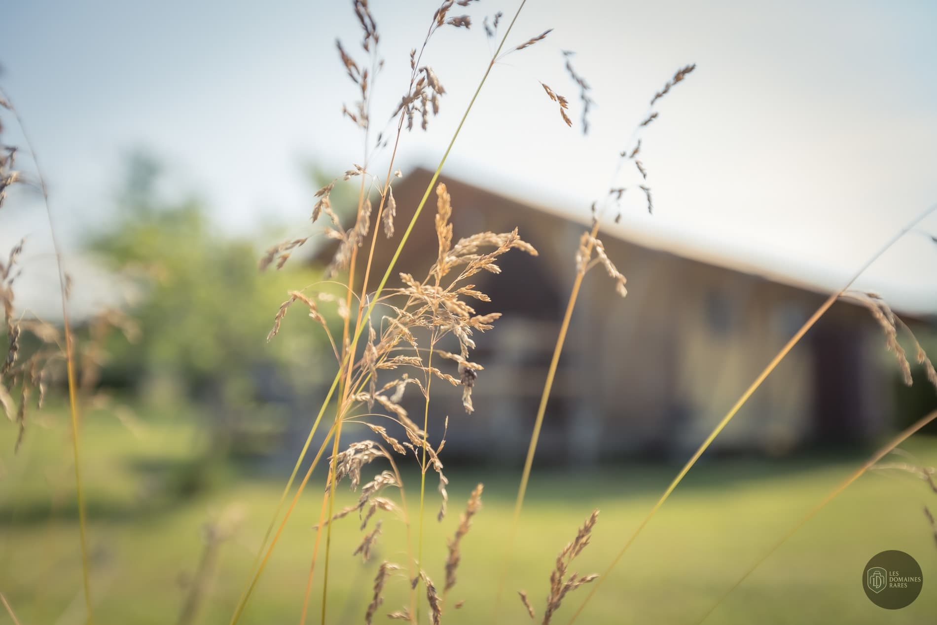 Vue extérieure du lieu Le Clos de Saires à Saires en Nouvelle-Aquitaine