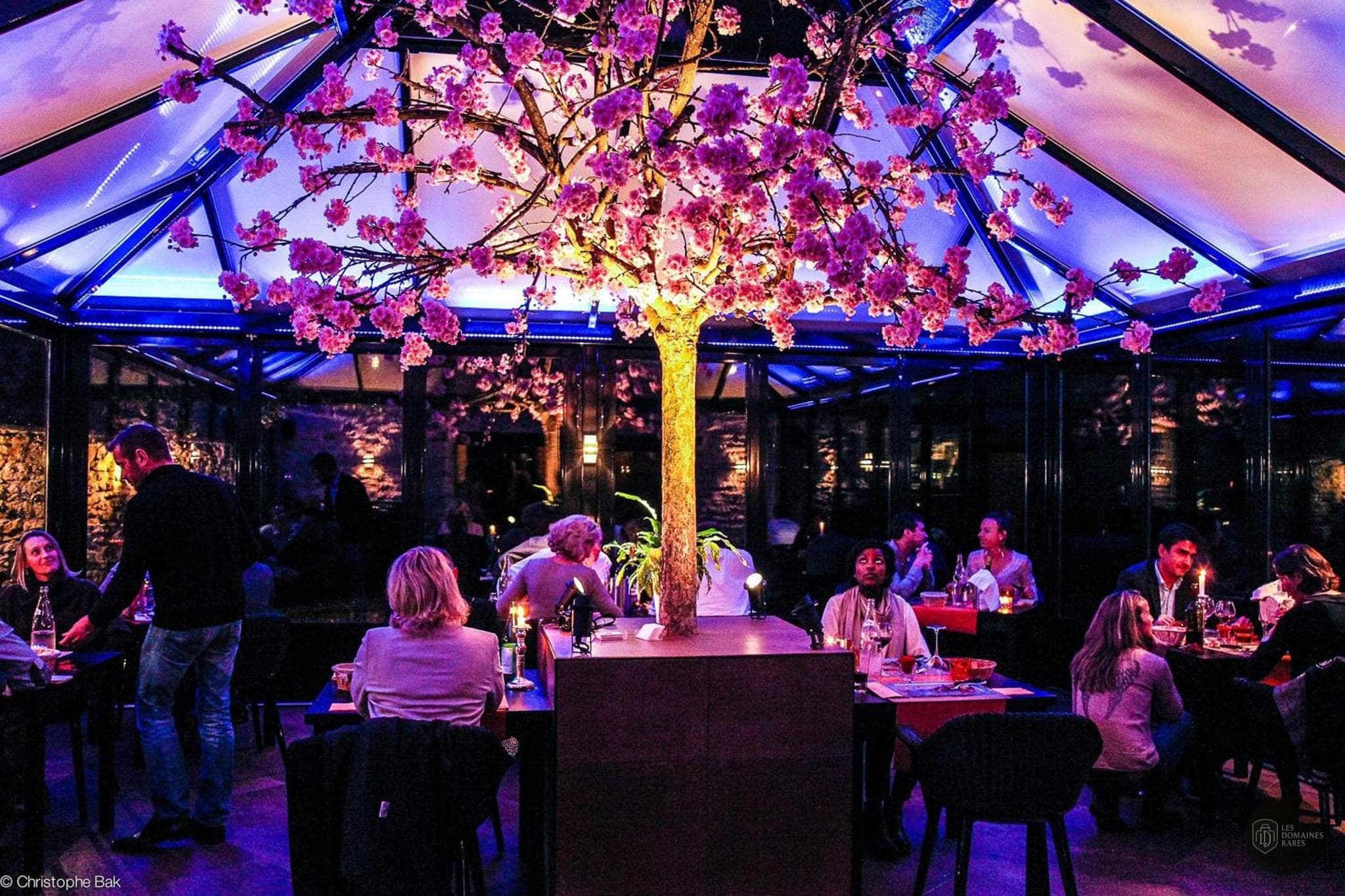 Le Clos des Eyssauts — Restaurant