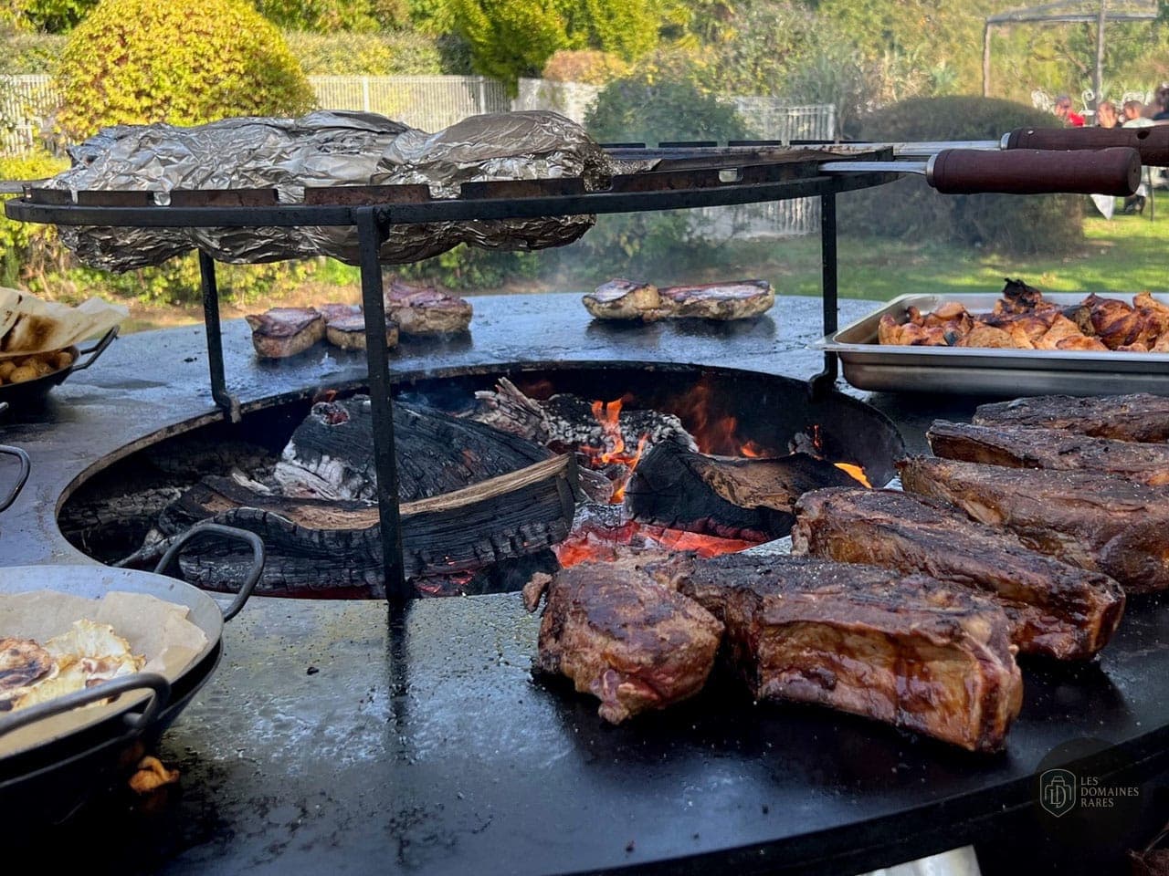 Barbecue extérieur avec viandes grillées
