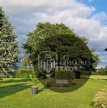 Jardin du domaine avec arbres