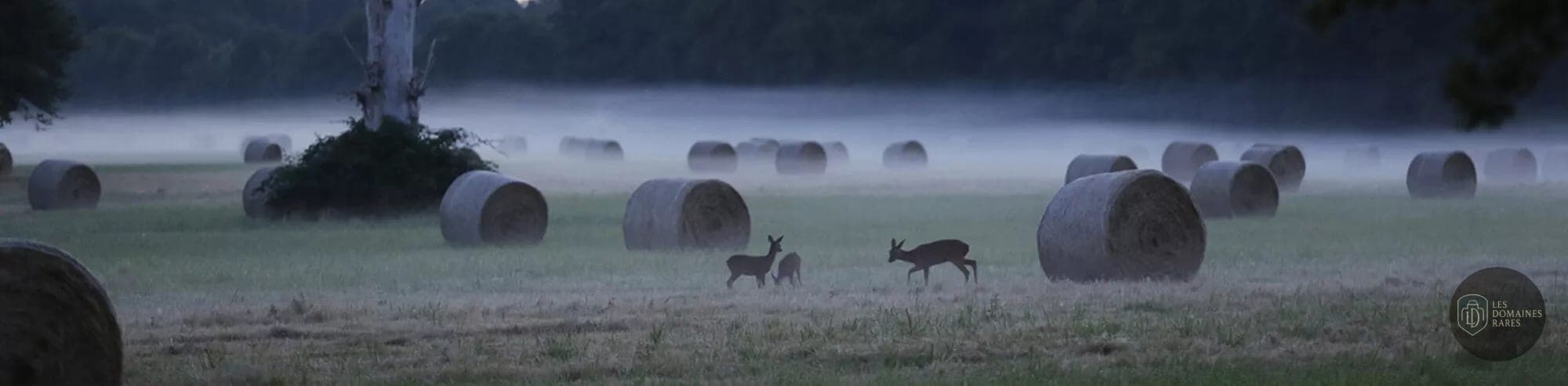Vue extérieure du gîte Le Glandier à Villeherviers en Centre-Val de Loire