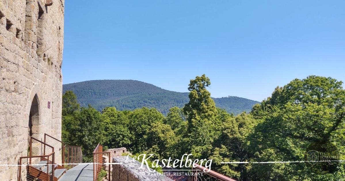 Vue extérieure du lieu Le Kastelberg à Andlau en Grand Est